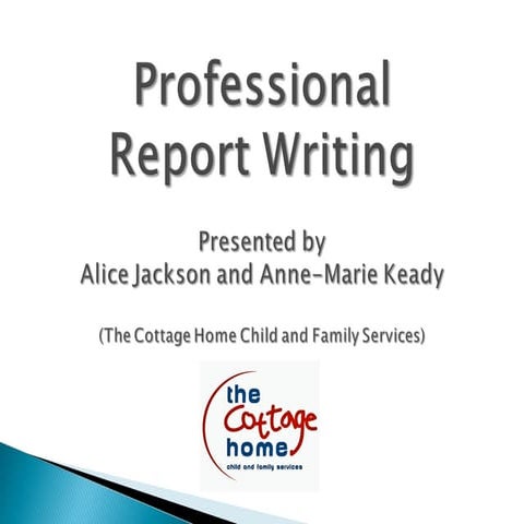 Professional report writing