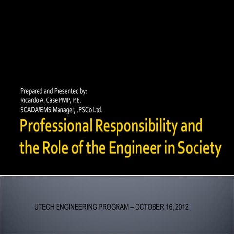 Professional responsibility and the role of the engineer