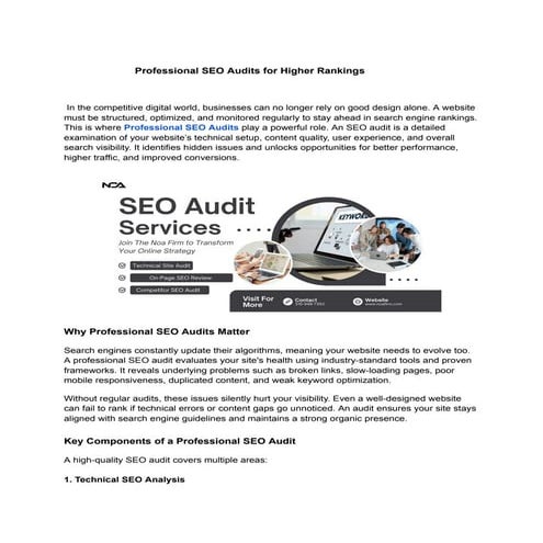 Professional SEO Audits for Higher Rankings.pdf