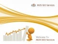 Professional Search Engine Optimization (SEO) Services