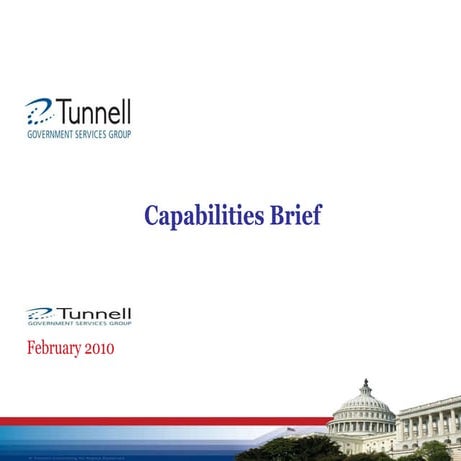 Professional Services Snapshot Overview