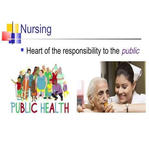 Professional standards in nursing