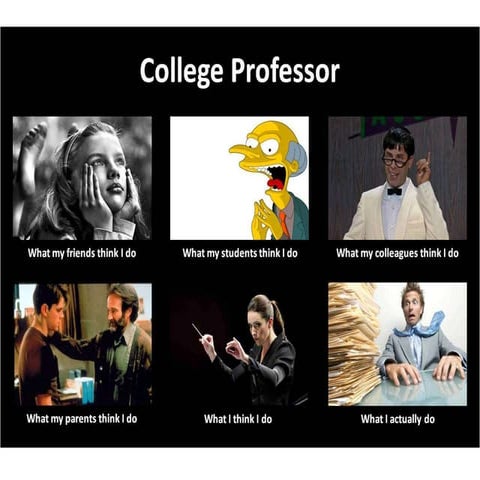 Professors meme | PPTX