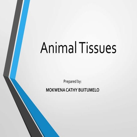 life sciences: animal tissue