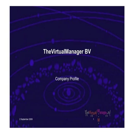 Profiel The Virtual Manager