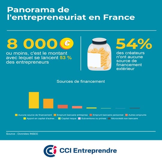 Panorama des entrepreneurs - Le financement