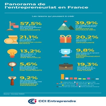 Panorama des entrepreneurs - Les raisons qui poussent à entreprendre