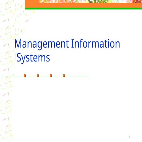 information systems business - M I S.pptx