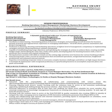 Sr.Professional Profile Ravindra Swamy