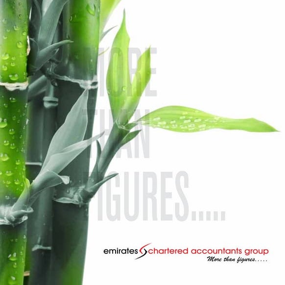 Company profile Emirates Chartered Accountants Group
