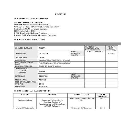 PROFILE JOMEL B PINERA.docx