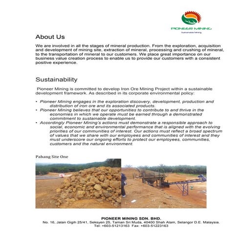 Profile Pioneer Mining | PDF