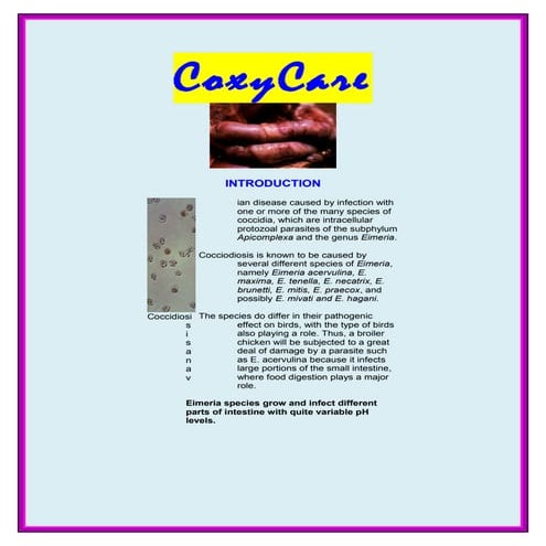 Profiles coccicare