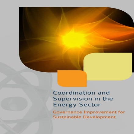 Coordination and Supervision in the Energy Sector
