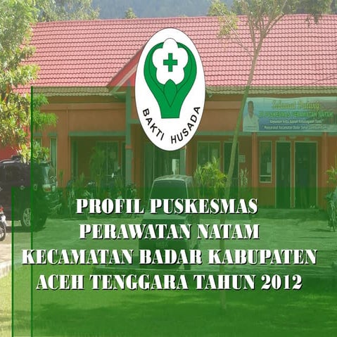 Profil puskesmas perawatan natam 2011-2012 | PPT