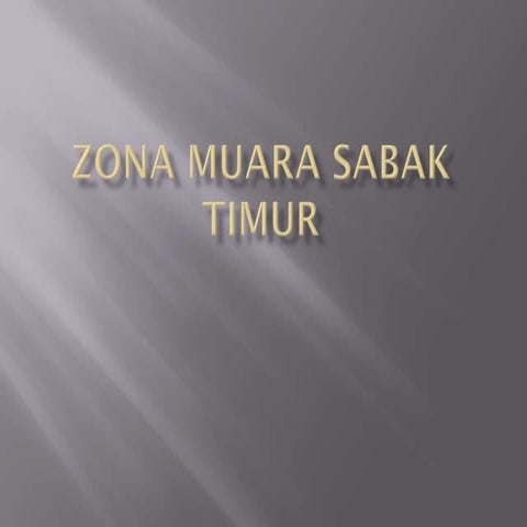 Profil zona muara sabak timur