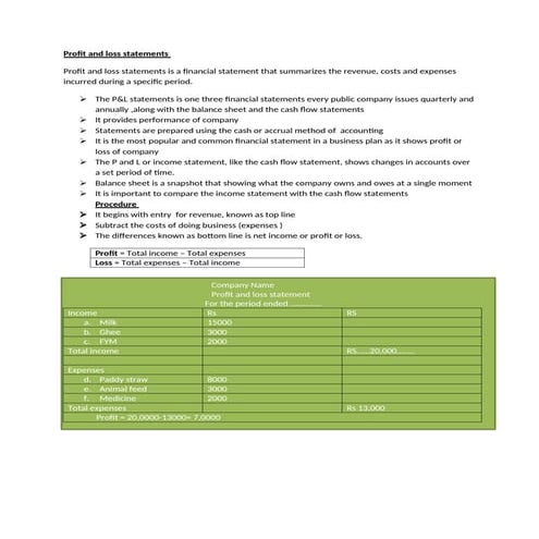 Profit and loss statement | PDF