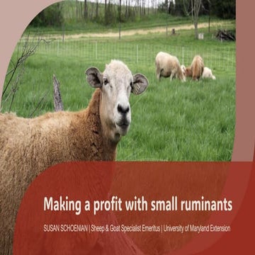 Making a profit with small ruminants (sheep/goats)