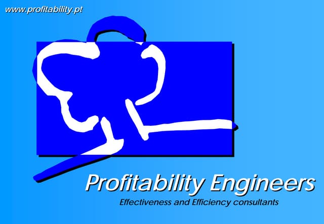 Profitability Engineers Presentation (En)