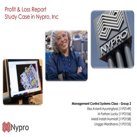 Profit and loss report on nypro
