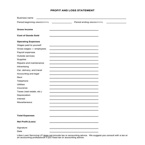 Profit and loss statement | PDF
