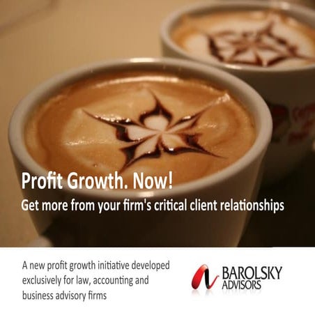 Profit Growth Now! from Barolsky Advisors