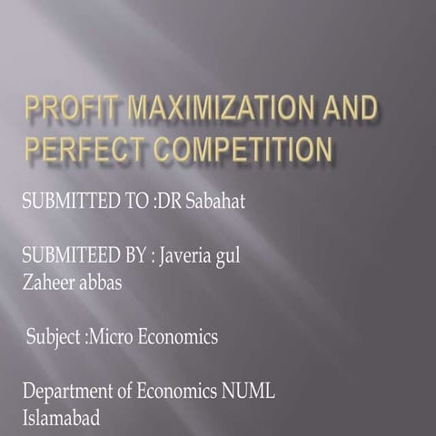 Profit maximization and perfect competition