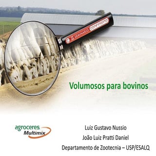 [Palestra] Prof Nussio: Volumosos p...