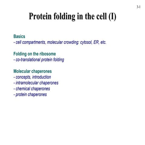 Pro fold | PPT