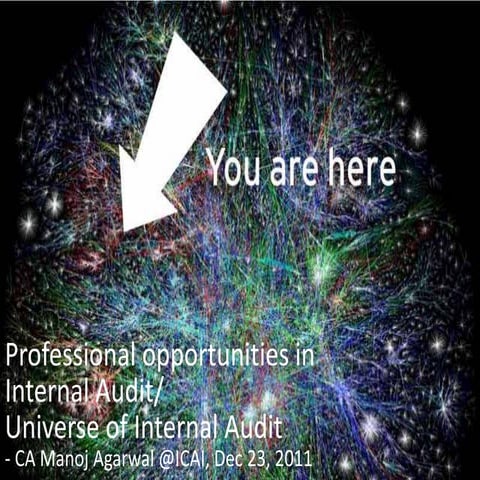 Professional opportunities in Internal Audit