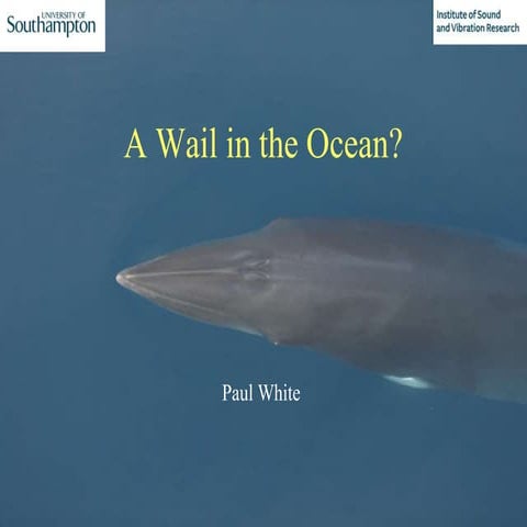 Prof Paul White - The behaviour of marine mammals - Cafe Scientifique - Mar 2018