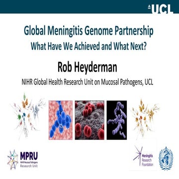 Prof Rob Heyderman