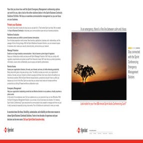 Sprint Professional Services