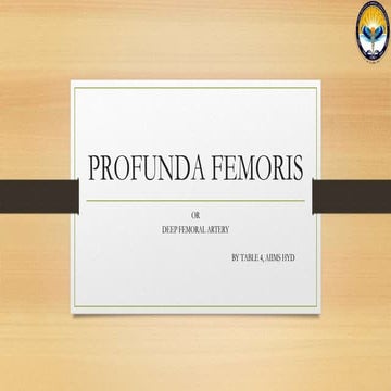PROFUNDA FEMORIS ppt.pptx