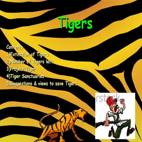 TIGERS