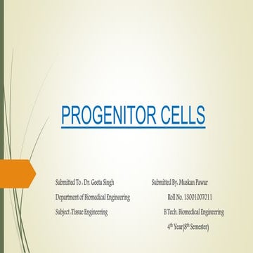 Progenitor cells. muskan