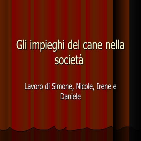 Progetto irene simone nicole daniele 2