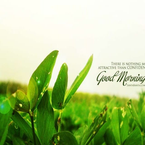 Prognosis in periodontics