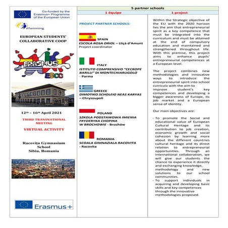 Program Virtual Mobility Romania