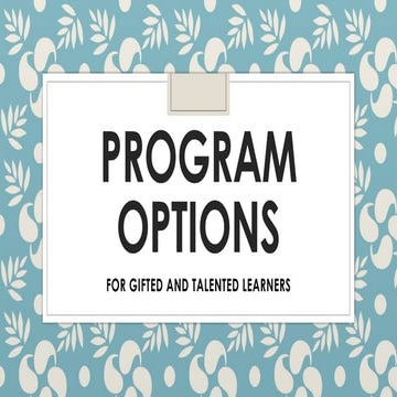 Program-Options.pptxbahahhahaqhahhaahUauah | PPTX