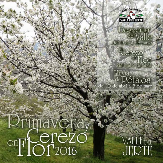 Programa cerezo-en-flor-2016-valle-del-jerte