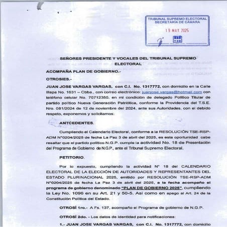 PROGRAMA DE GOBIERNO NUEVA GENERACION PATRIOTICA ELECCIONES  GENERALES 2025