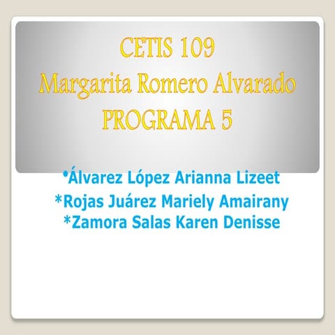 Programa11 