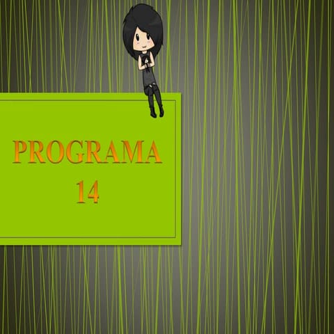 Programa 14