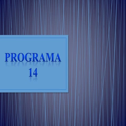 Programa14a pptx pachecov