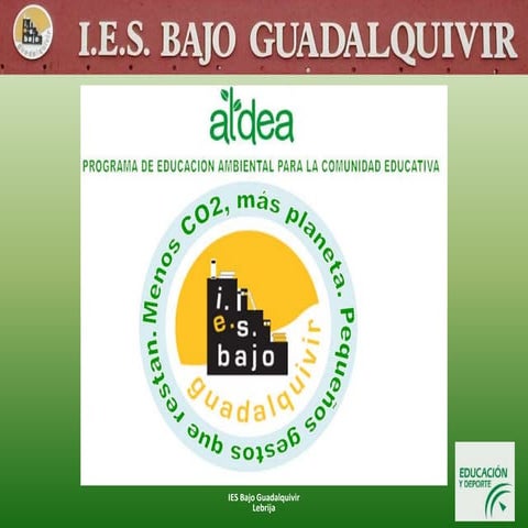 Programa aldea