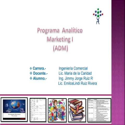 Programa analitico