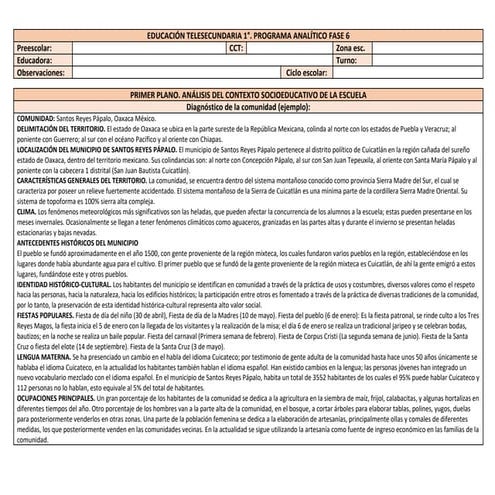 Programa analitico teleKSkajkajdkajdkajsd