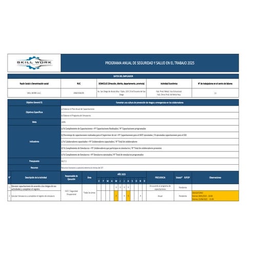 PROGRAMA ANUAL DE SST - SKILL WORK S.A.C. 2025.pdf