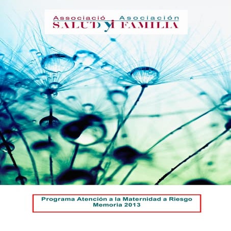 Memoria 2013 "Programa Atención a la Maternidad a Riesgo"